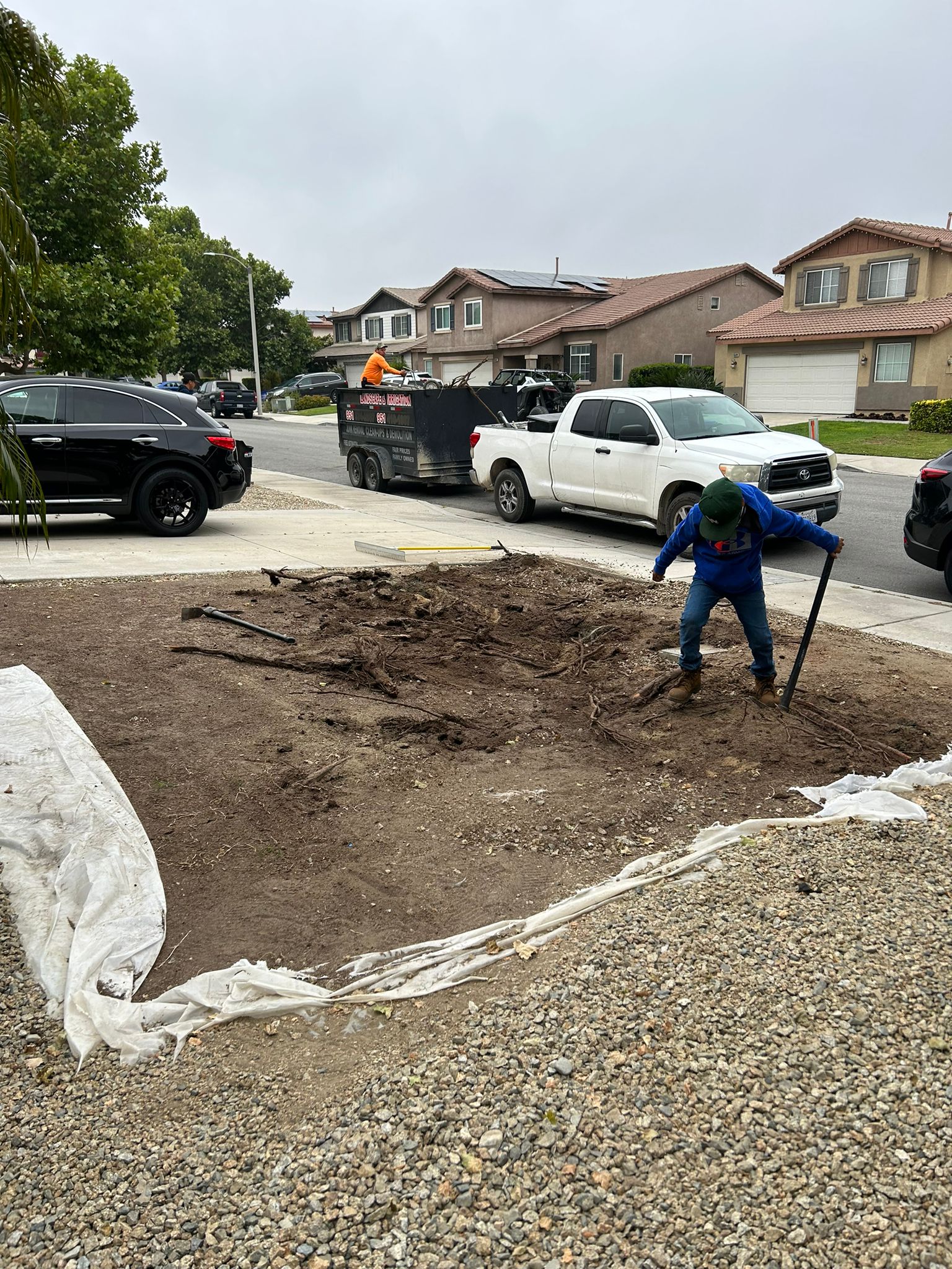 Marco Tree Service Image